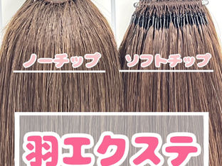 羽エクステソフトチップ販売開始