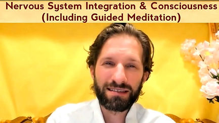 Nervous System Integration & Consciousness (Including Guided Meditation).jpg
