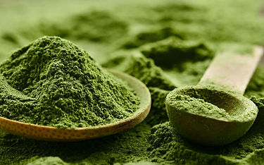 changing banner (48).jpg