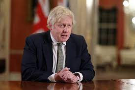 BOJO.jpeg