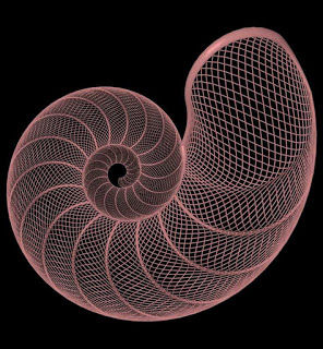 Natural Forms Research