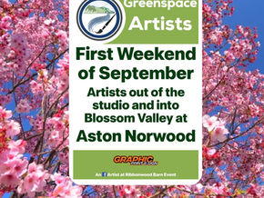 Blossom Valley Festival