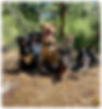 thumbnail_IMG_7895.jpg