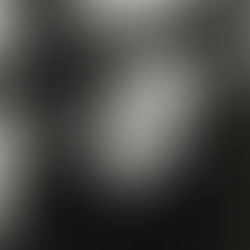 風格 [藝術家的秘密#170914] 