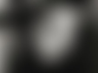 風格 [藝術家的秘密#170914] 