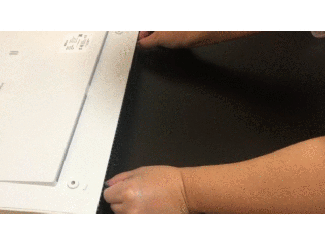 GIF③.gif