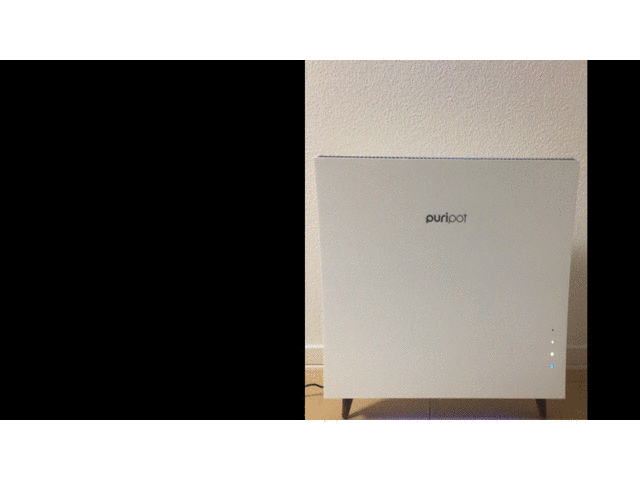 GIF4.gif