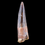 Miniature : Dent d'Irritator sp.