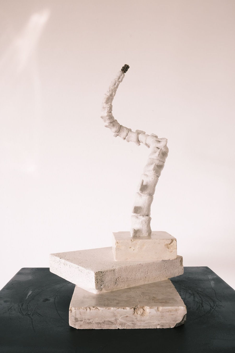 Miniature : DinoTail