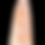 Miniature : Dent de Siroccopteryx moroccensis