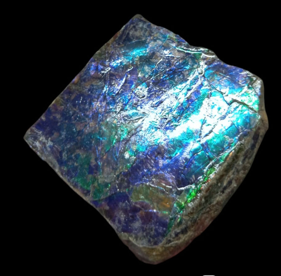 Miniature : Ammolite