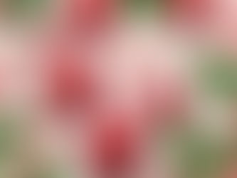 What does my blood type say about me?