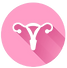 illustration of uterus