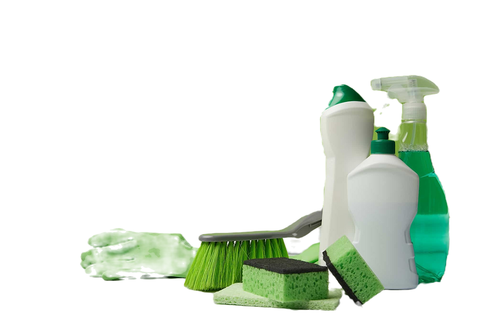 cleaning-bottles-and-supplies-against-green-background_edited.png