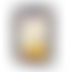 Libro para aprender español para angloparlantes, de Juan Riochí Siafá