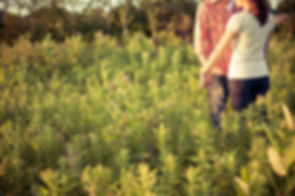 couple in field.jpeg