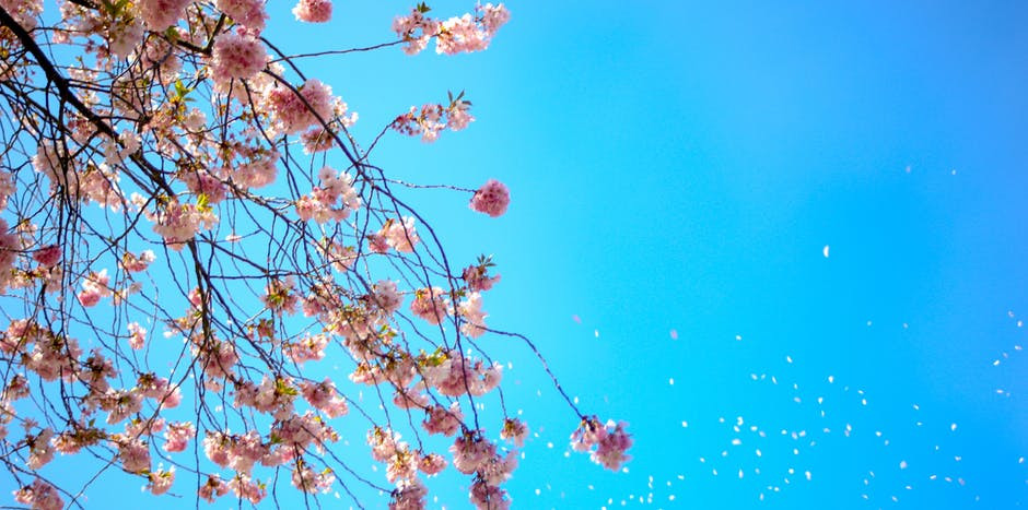 Counselling Armadale