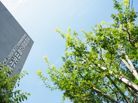 教職員紹介号の撮影