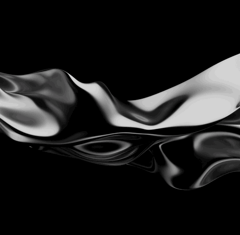 image2.gif