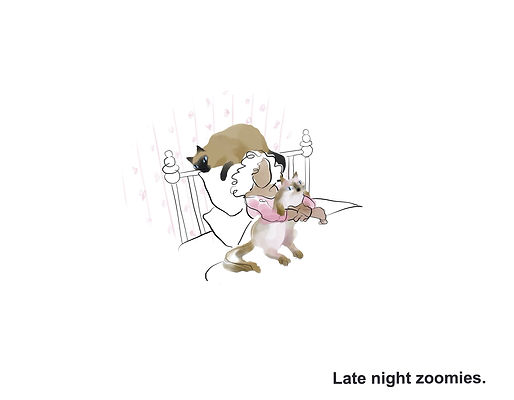 My Cats Know Morse Code Illustration