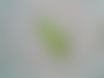 試験対策情報室の追加情報