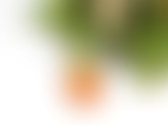 カブトピンブローチ&創作リングをアップ♪