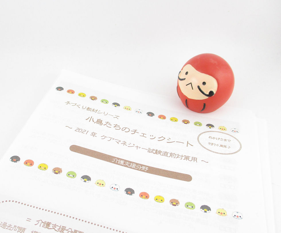 お好み教材シリーズ『小鳥たちのチェックシート~2021年ケアマネジャー試験直前対策用~』KCC21