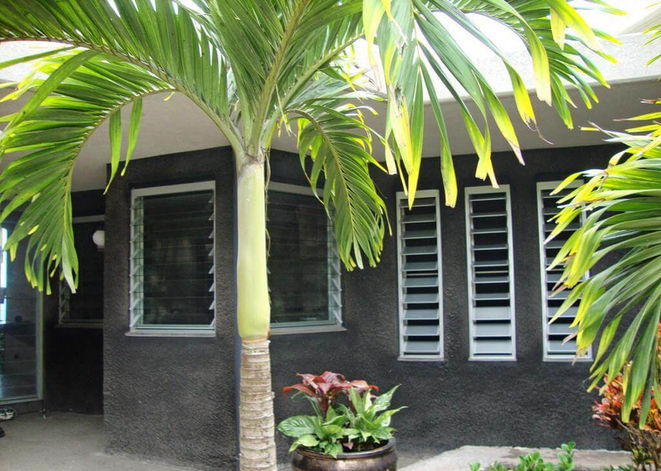 Tradewind Windows