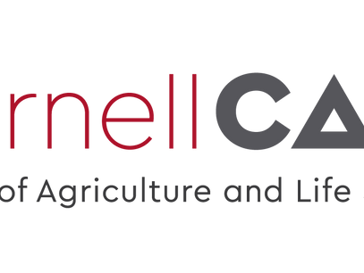 Garden-Based Learning for 2025