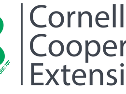 Volunteerism Cohort Experience - Register Now!