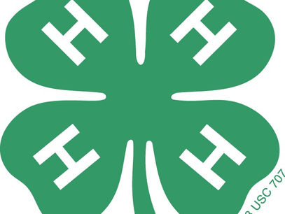 Teen Leaders Needed for the 2025 NYS Fair
