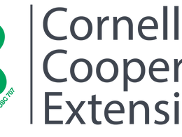 Constitution Day Essay Contest