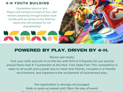 NYS 4-H Esports Competition