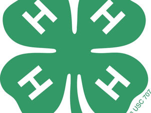 Cause Marketing Campaigns - Updates from 4-H