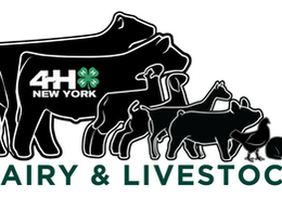 NYS Jr Dairy Leader & AAL