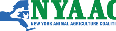 Sign Up to work at the Dairy Cow Birthing Center at the NY State Fair