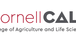 Dairy Youth Gain Hands-On Experience in Milk Quality and Milk Production