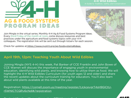 Ag & Food Systems Program Ideas: Teaching Youth About Wild Edibles
