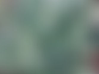 Satya ~ truthfulness