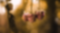 Stu + Beth Highlight Films.00_01_35_06.Still030.png
