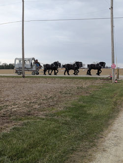 Practicing the sixes 2025