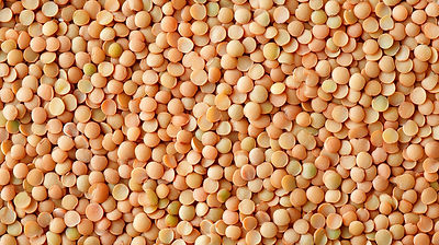 15 December 2025 at 4:39:06 pm