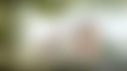 CONSTRUCTION D'UN ENSEMBLE DE LOGEMENTS - ANGERS