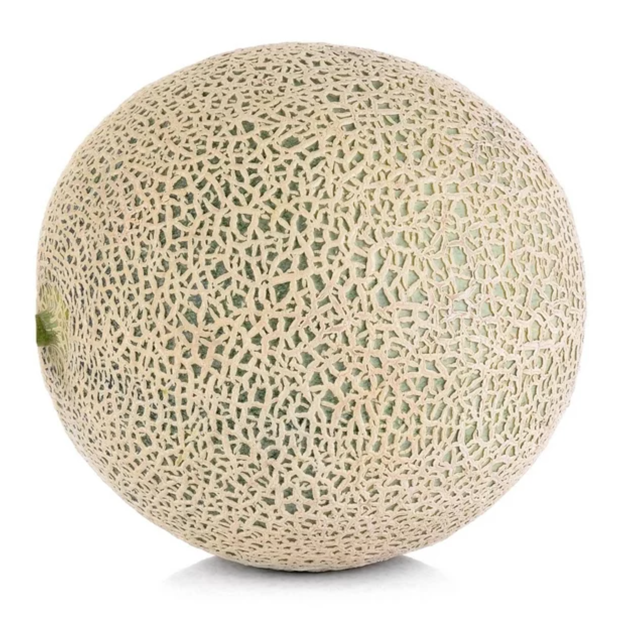Cantaloup