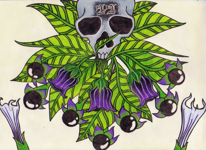 Alchemical Plants & the Great Work