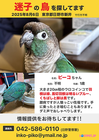 IMG_6893.PNG