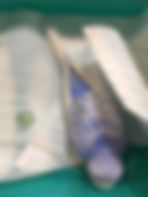 image2(2).jpeg