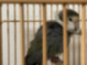 image1(18).jpeg