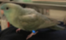 image1-26.jpeg