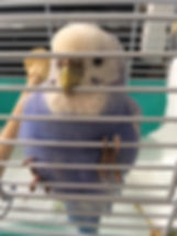 image1(6).jpeg
